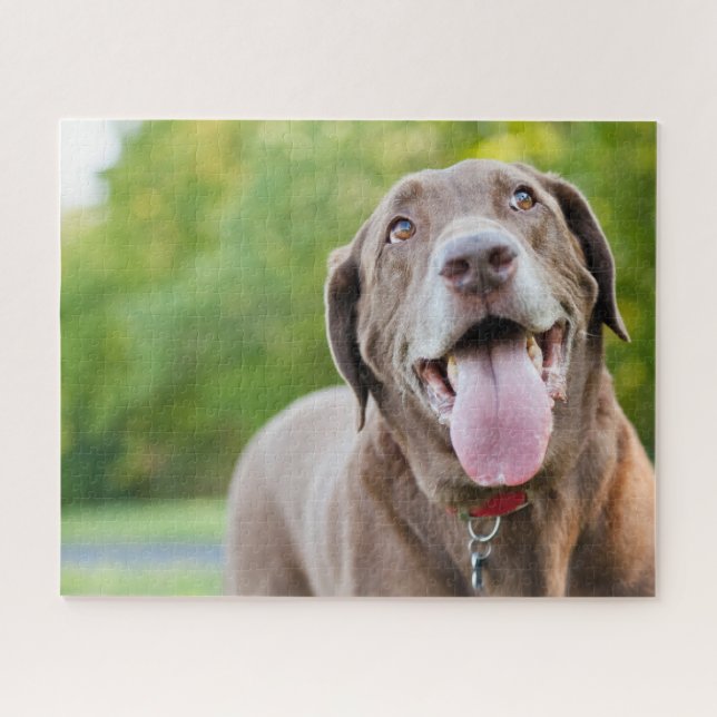 Puzzle Chocolate Labrador Dog (Horizontal)