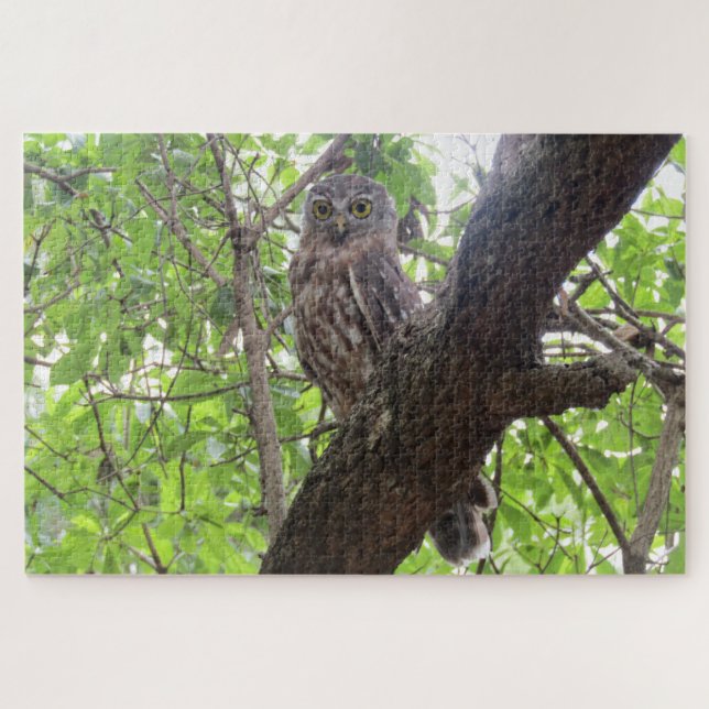 Puzzle chouette (Horizontal)