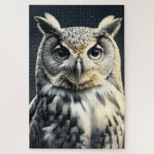 Chouette curieuse