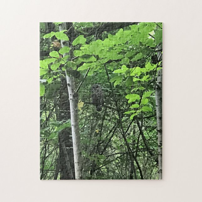 Puzzle Chouette dans les arbres, Oregon (Vertical)