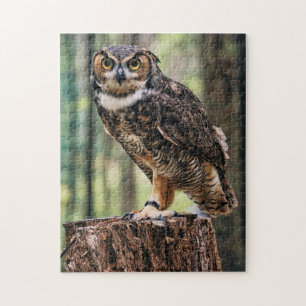 Puzzle Chouette debout Sur Une Forêt D'Arbre Vue Nature O