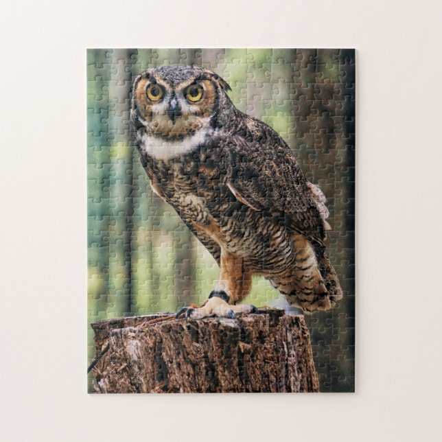 Puzzle Chouette debout Sur Une Forêt D'Arbre Vue Nature O (Vertical)