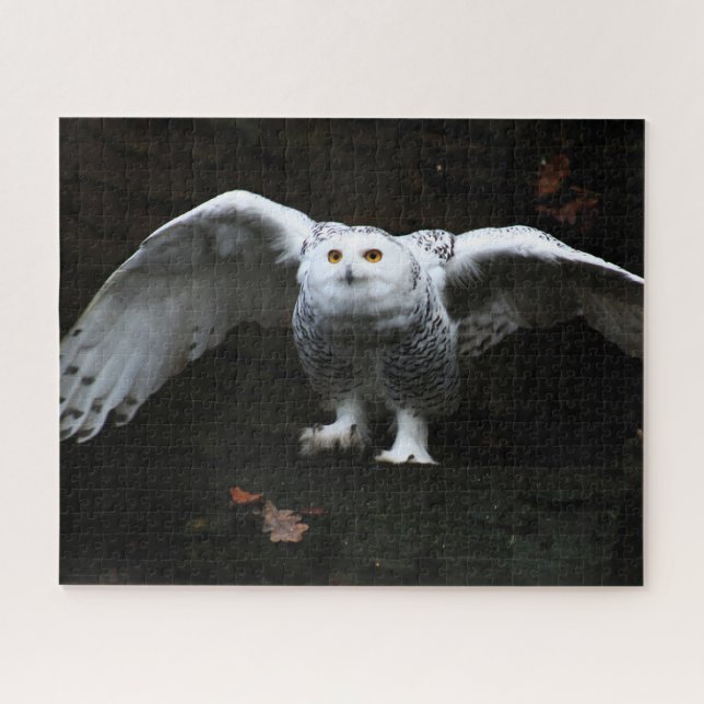 Puzzle Chouette neige avec ailes ouvertes 16x20 520pc jpc (Horizontal)