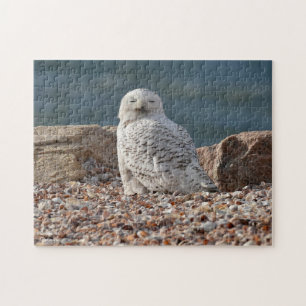 Puzzle Chouette neige endormie