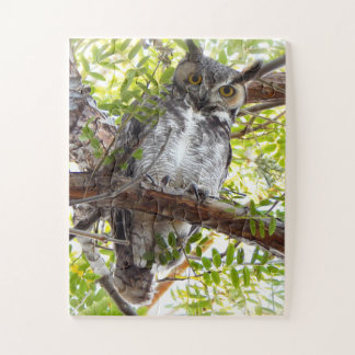 Puzzle Chouette Regardez De La Branche