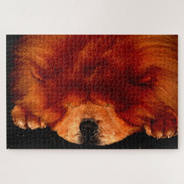 Puzzle Chow couché Chow Chow 20x30 1014pc jpa (Horizontal)