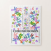 Chromosomes Challenging Amusement pour les 10 ans 
