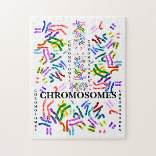 Puzzle Chromosomes Challenging Amusement pour les 10 ans