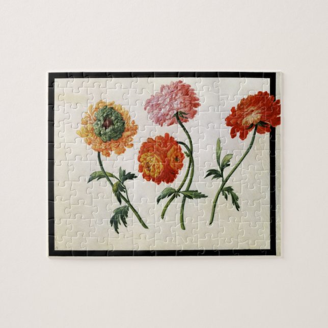 Puzzle Chrysanthèmes (la semaine sur le papier) (Horizontal)