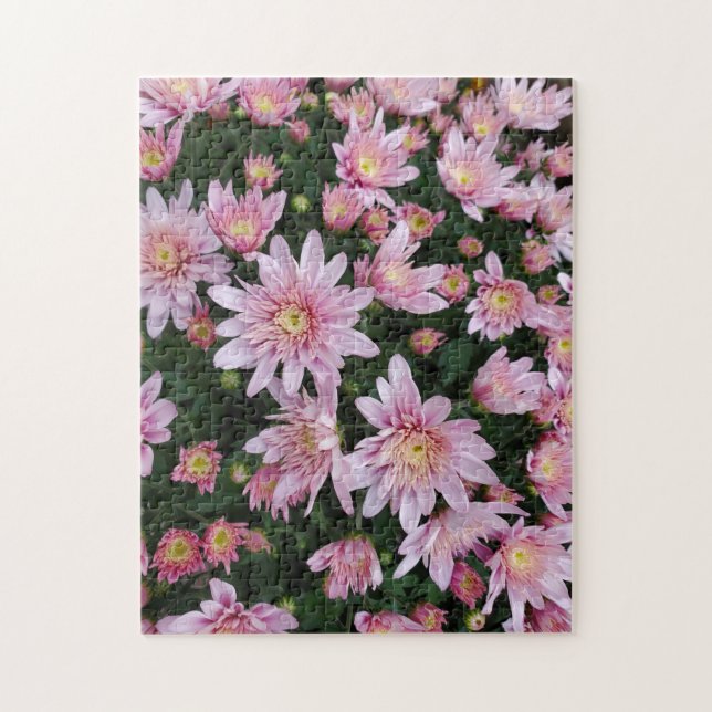 Puzzle Chrysanthèmes roses (Vertical)
