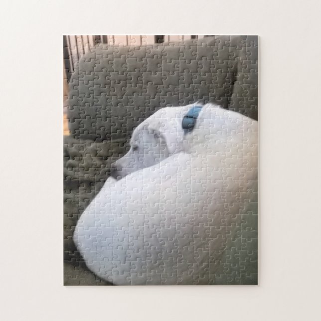 Puzzle Chubby Chien Chien Chien Puppé Dormir sur Canapé (Vertical)