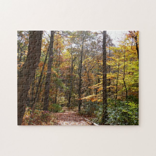 Puzzle Chute Sunlit dans le parc national de Laurel Hill (Horizontal)