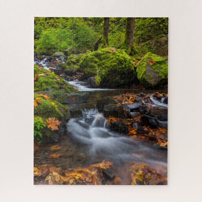 Puzzle Chutes de Starvation Creek | Columbia Gorge, Orego (Vertical)