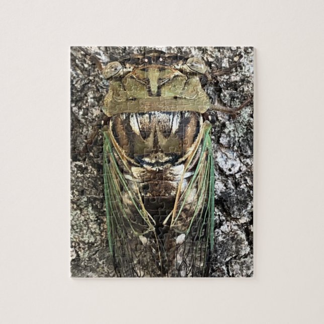 Puzzle Cicada (Vertical)