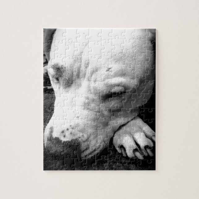 Puzzle cicatrice de harry potter chien pit bull blanc (Vertical)