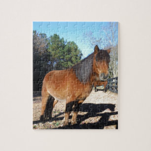Puzzle Ciel turquoise de poney Brown