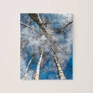 Puzzle Cieux bleus de nature d'arbres de bouleau de neige