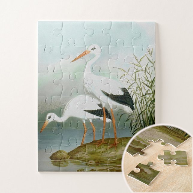 Puzzle cigogne blanche, illustrations d'oiseaux (Créateur téléchargé)