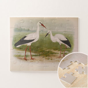 Puzzle cigogne blanche - jeunes et adultes, Illustrations