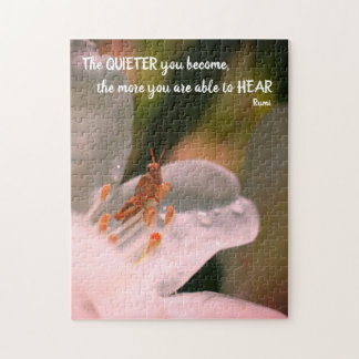 Puzzle Citation Silence Inspiration Rumi