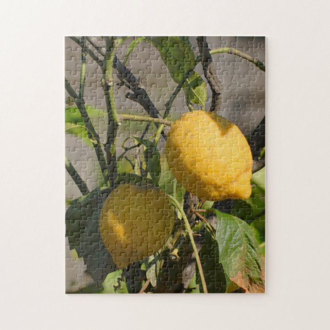 Puzzle Citrons frais sur un arbre (Vertical)