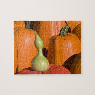 Puzzle Citrouille et gourd