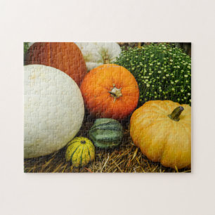 Puzzle Citrouille Et Gourdes