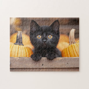 Puzzle Citrouille Patch Kitten