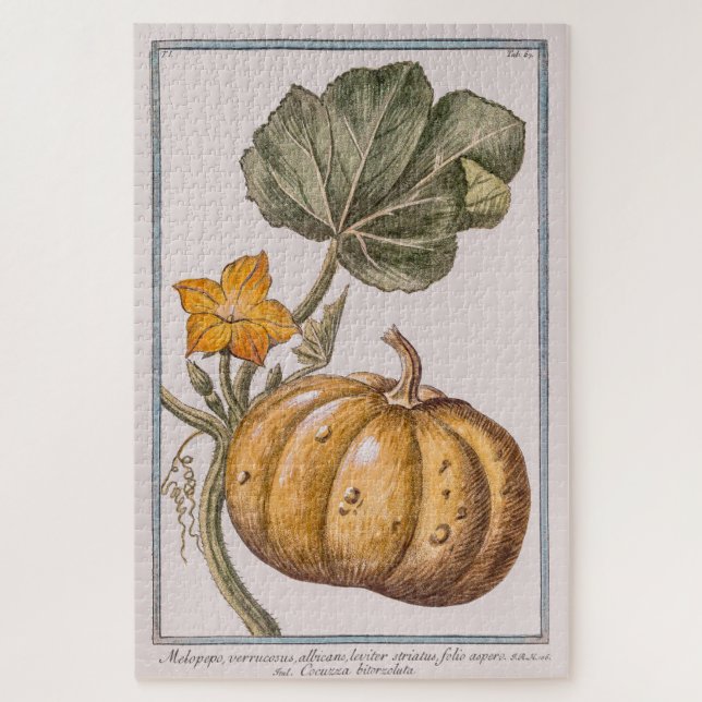 Puzzle Citrouille vintage par Giorgio Bonelli (Vertical)