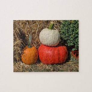 Puzzle Citrouilles d'automne