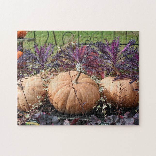 Puzzle Citrouilles Et Plantes Automne (Horizontal)