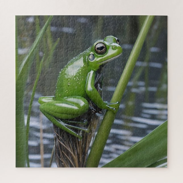 Puzzle "Clarté cristalline : Grenouille verte en verre su (Vertical)