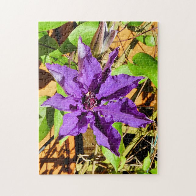 PUZZLE CLEMATIS (Vertical)
