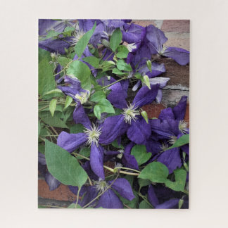 Puzzle Clematite pourpre