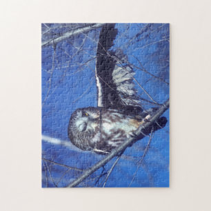 Puzzle Cligner de l'oeil le hibou