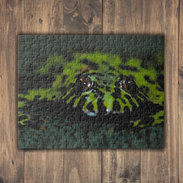 Puzzle Closeup de crapaud Bellied Fire (Fire Bellied Toad Closeup Jigsaw Puzzle)