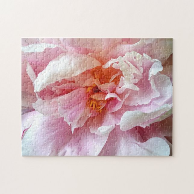 Puzzle Closeup des pivoines roses pâles (Horizontal)