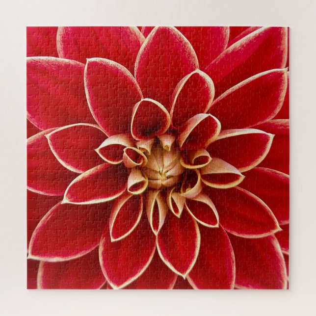 Puzzle Closeup rouge clair Dahlia (Vertical)