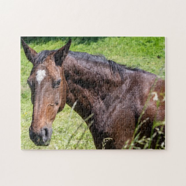 Puzzle Closeuse de Chestnut Horse (Horizontal)