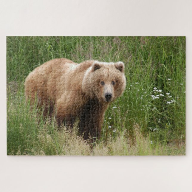 Puzzle Closeuse d'ours, Brooks Falls Alaska (Horizontal)