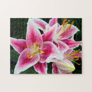 Puzzle Closeuse Lily Orientale en pleine floraison