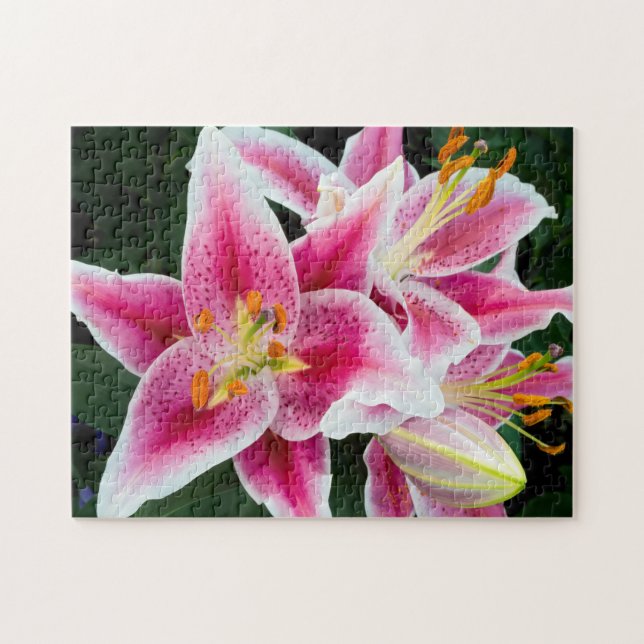 Puzzle Closeuse Lily Orientale en pleine floraison (Horizontal)