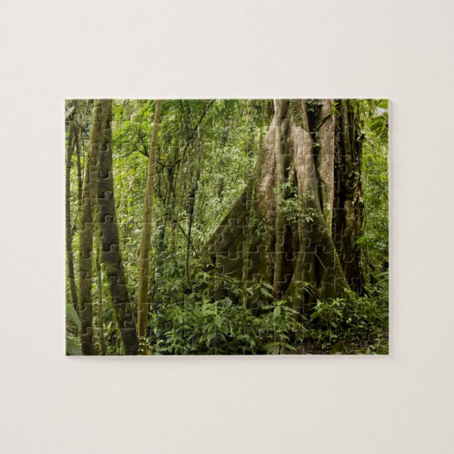 Puzzle Cloud forest, Bosque de Paz, Costa Rica (Horizontal)