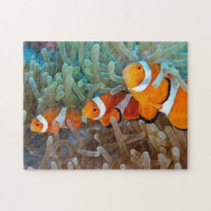 Puzzle Clownfish