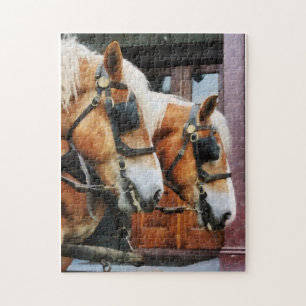 Puzzle Clydesdale en gros plan
