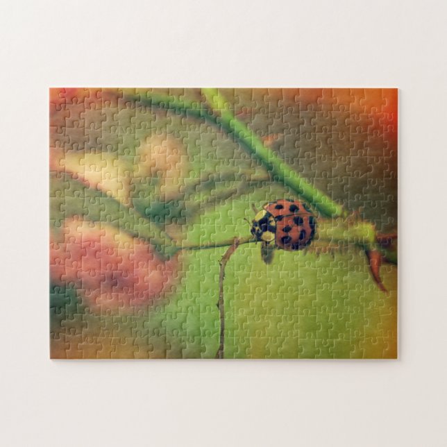 Puzzle Coccinelle (Horizontal)