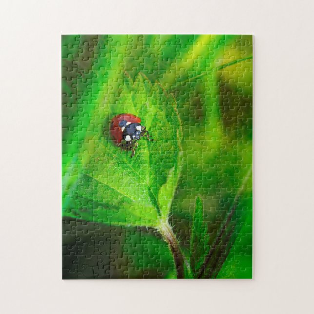 Puzzle Coccinelle dans la nature verte (Vertical)
