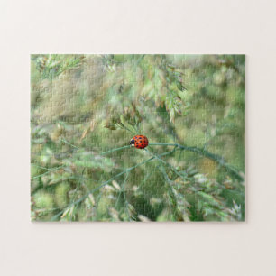 Puzzle Coccinelle en route....