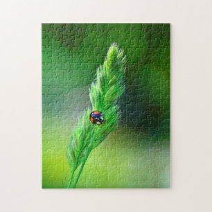 Puzzle Coccinelle noire en route....