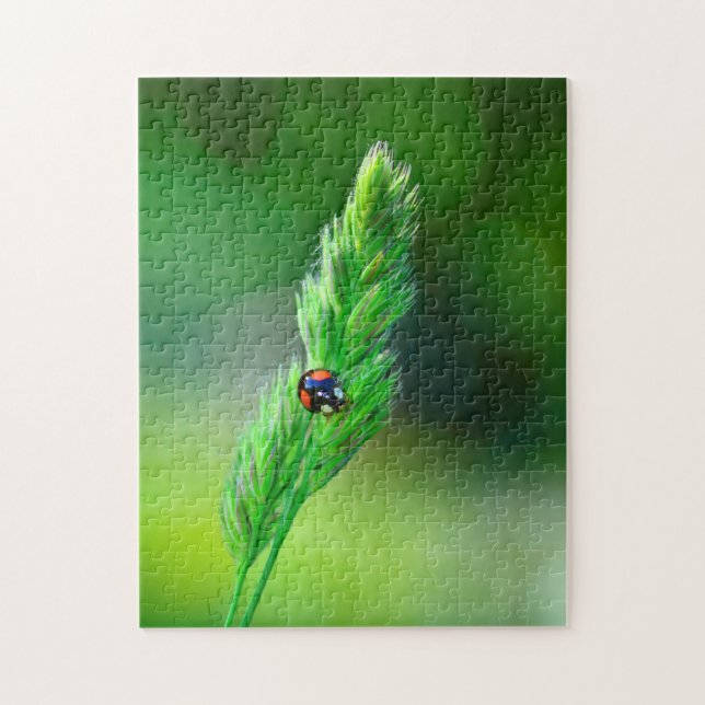 Puzzle Coccinelle noire en route.... (Vertical)